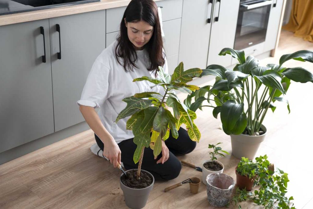 Het meisje verzorgt de planten in de keuken.